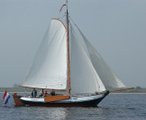 Schokker Lauwersmeer.jpg