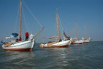 Waddentocht 2011 schepen half droog.jpg