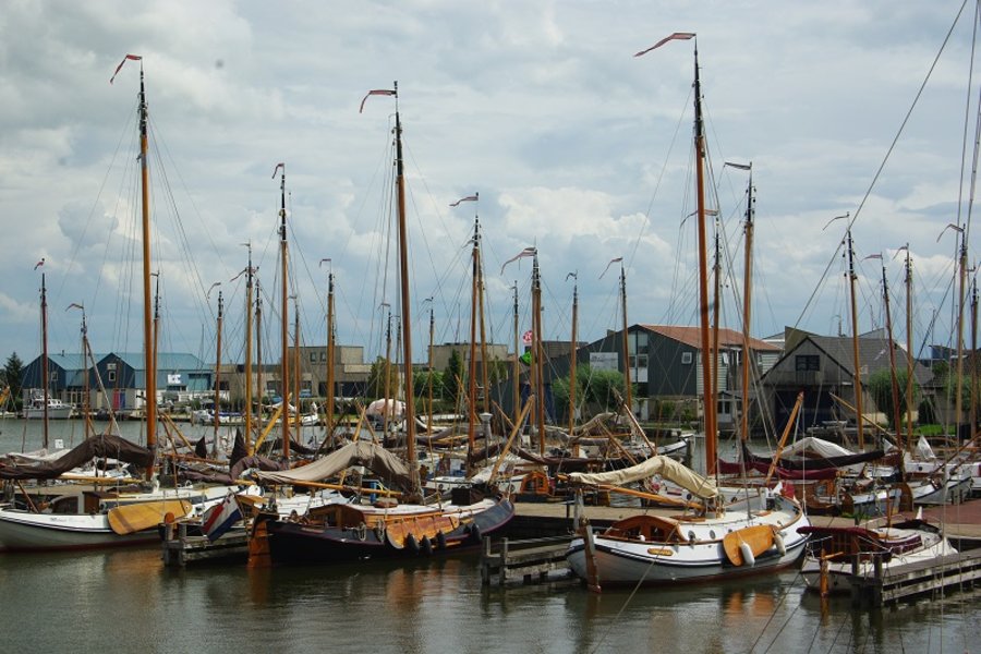 Verkoophaven zomer 2019.jpg